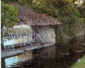 nicolethernisien - LES EPHEMERES 2007