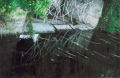 nicolethernisien - LES EPHEMERES 2007